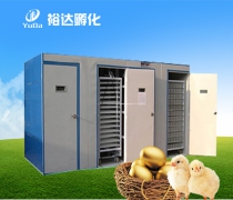 ԣ_(d)YDD-419712ö΢XȫԄ(dng)C(j)