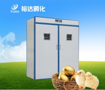 ԣ_(d)YDZ-3ͷC(j)4224ö     Ԕ