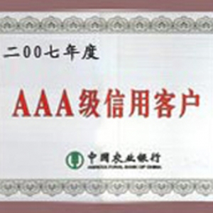 ԣ_(d)2007uAAAÿ͑