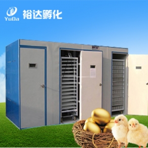 ԣ_(d)YDD-3ͷC(j)16896ö        Ԕ